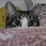 Profile Picture of María Boado (@aboado65) on Instagram