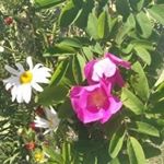 Profile Picture of Cindy McClure (@cindymc920) on Instagram