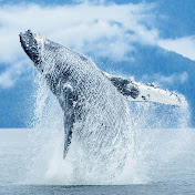 Profile Picture of Alexander Horsman (@alexanderhorsman3584) on Youtube