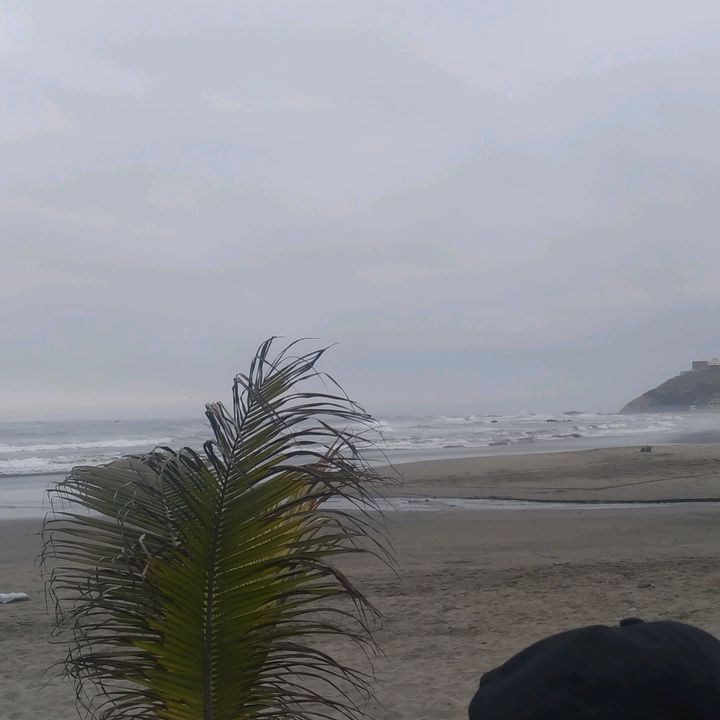 Profile Picture of DAVID Ventocilla (@@davidventocilla13) on Tiktok