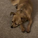 Profile Picture of Julie Rene-Cunningham (@juch42019) on Instagram