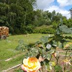 Profile Picture of Chantal Lambert (@chantal.lambert.792740) on Facebook