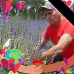 Profile Picture of Clarence Walls (@Clarence-Walls) on Facebook
