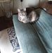 Profile Picture of Bonnie Moyer (@bonnie.moyer.3979) on Facebook
