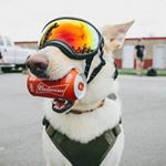 Profile Picture of Danny Lum (@dlum_) on Instagram
