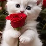 Profile Picture of Christopher Sheeran (@Christopher-Sheeran) on Facebook