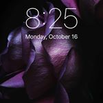 Profile Picture of Jimmy Harrington (@harrington2424) on Instagram