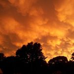 Profile Picture of Taylor Pieper (@taylor_beatz) on Instagram