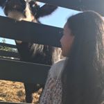 Profile Picture of shayla brewer (@shay_love_1) on Instagram