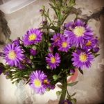 Profile Picture of Cher Laughlin (@icannhum) on Instagram