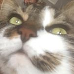 Josie❤️ - Instagram Profile Picture of Josie❤️ (@josie_markel) on Instagram