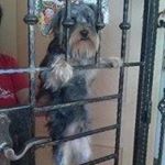 Profile Picture of Xiong Zou (@zou2563) on Instagram