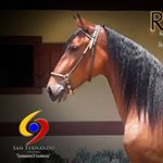 Profile Picture of 🇨🇴CRIADERO SAN FERNANDO.🇨🇴 (@criaderosanfernando_) on Instagram