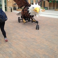 Profile Picture of Amanda Hartz (@amanda-hartz-7) on Quora