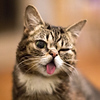 Profile Picture of Scandy Lulu (@lscandy@ymail.com) on Flickr