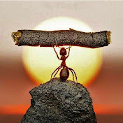 Profile Picture of Thomas Schmid (@Kinderkaiserland) on Youtube