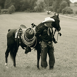 Profile Picture of David Ladd (@blackthorne morgan horse farm) on Flickr