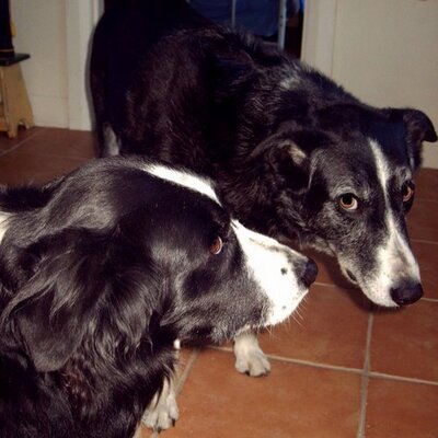 Profile Picture of Debbie Locke (@LockeDebbie) on Twitter