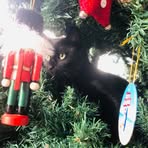 Profile Picture of Cassandra Carruthers (@cassandra.carruthers.16) on Facebook