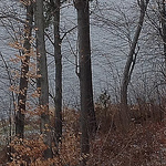 mark brousseau - Flickr Profile Picture of mark brousseau (@brousseaumark) on Flickr