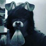 Profile Picture of robert marchand (@movingdowntheline) on Instagram