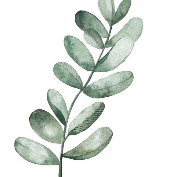 Profile Picture of Kellie Bronson (@kellie_bronson) on Poshmark