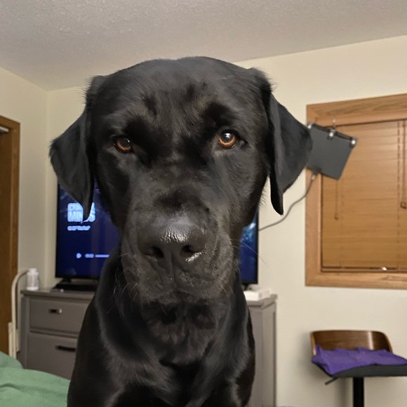 Profile Picture of Jillian Larson (@jillianlarso192) on Poshmark