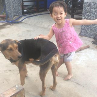 Profile Picture of Sim Ngo (@sim.ngo.52) on Facebook