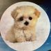 Profile Picture of Natasha Manns (@natasha.manns.50) on Facebook