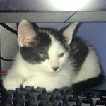 Profile Picture of Bobby Halverson (@bobby_halverson2) on Instagram