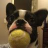 Profile Picture of Joe Barger (@@jotnar1965) on Tiktok