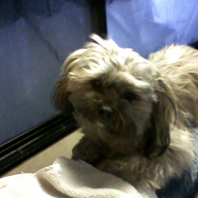 Profile Picture of Sharon And Walter (@SharonClear) on Twitter