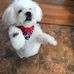Profile Picture of Pamela Stubbs (@pamela.stubbs.965) on Facebook