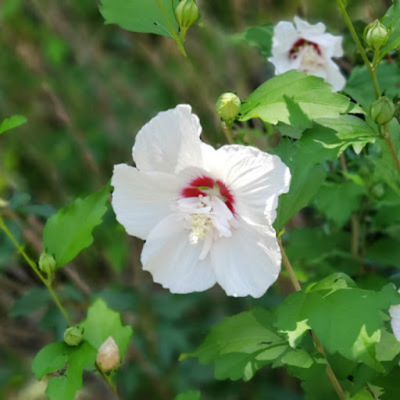 Profile Picture of Windsor Fischer (@windsorfischer) on Poshmark