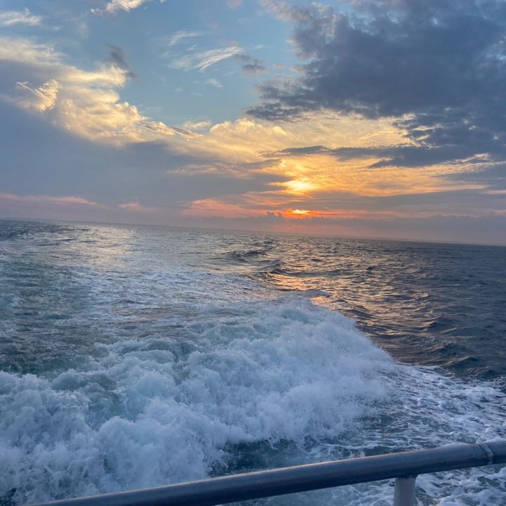 Profile Picture of user6947044891661 (@david.zwolinski) on Tiktok