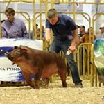 Tyler Barr - Instagram Profile Picture of Tyler Barr (@tyler_barr422) on Instagram