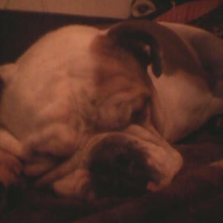 Profile Picture of Alwin Hecker (@alwin.hecker.98) on Facebook