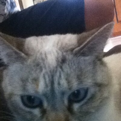 Profile Picture of Nicholas Pruner (@nicolaspruner) on Twitter