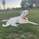 Profile Picture of Sofia Pastorelli (@sofia.pastorelli.56) on Facebook