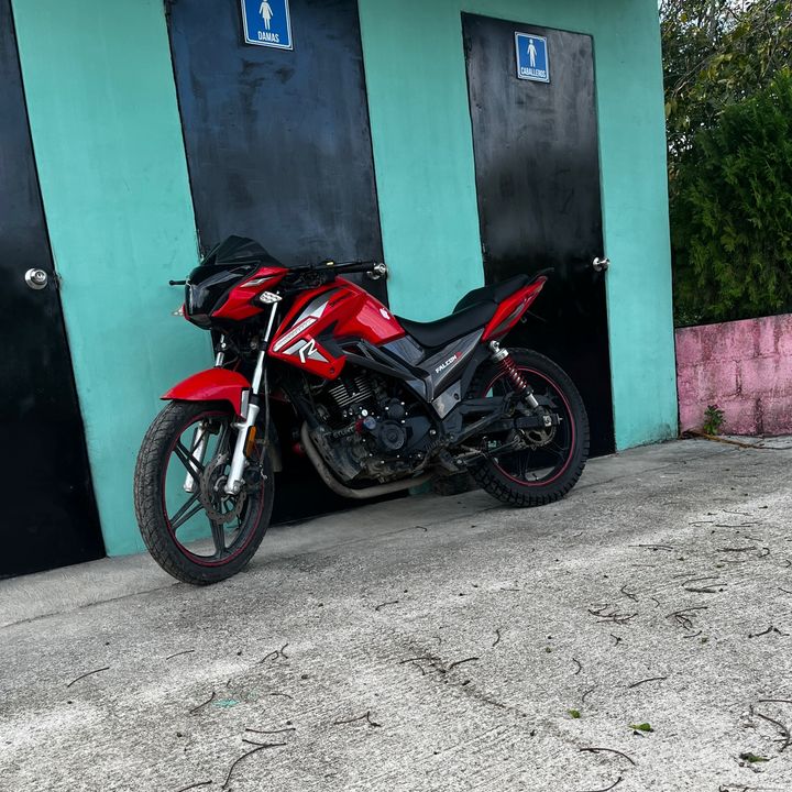 Profile Picture of Daniel❤️ (@daniel_elbiker) on Tiktok