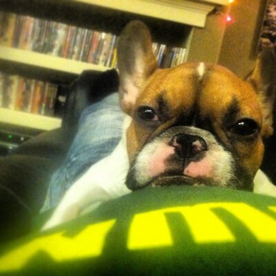 Profile Picture of Matt Hazard (@HazQuack) on Twitter