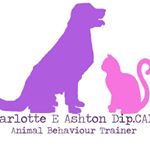 Profile Picture of Charlotte E Ashton Dip.CABT (@charlotteanimalbehaviour) on Instagram