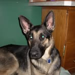 Profile Picture of Scott Nafzger (@nafzger1) on Facebook