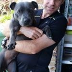 Profile Picture of Lisa Gianotti (@gianotti.lisa) on Instagram