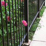 Profile Picture of Kathy Stevenson (@obi_maya) on Instagram