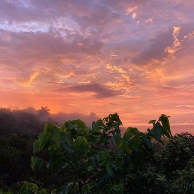 Profile Picture of Raymond Rogers (@Raymondrogers30) on Twitter