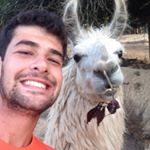 Profile Picture of Eric Alvarado (@ericalvarado3) on Instagram