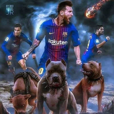 Profile Picture of @Jose Luis Magan (@JoseLuismagan1) on Twitter