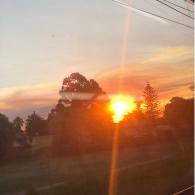 Profile Picture of Daniel Machon (@DanielMachon3) on Twitter