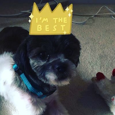Profile Picture of Dylan McDowell (@DylanMc33339387) on Twitter